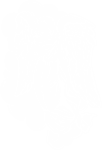 angel15.png